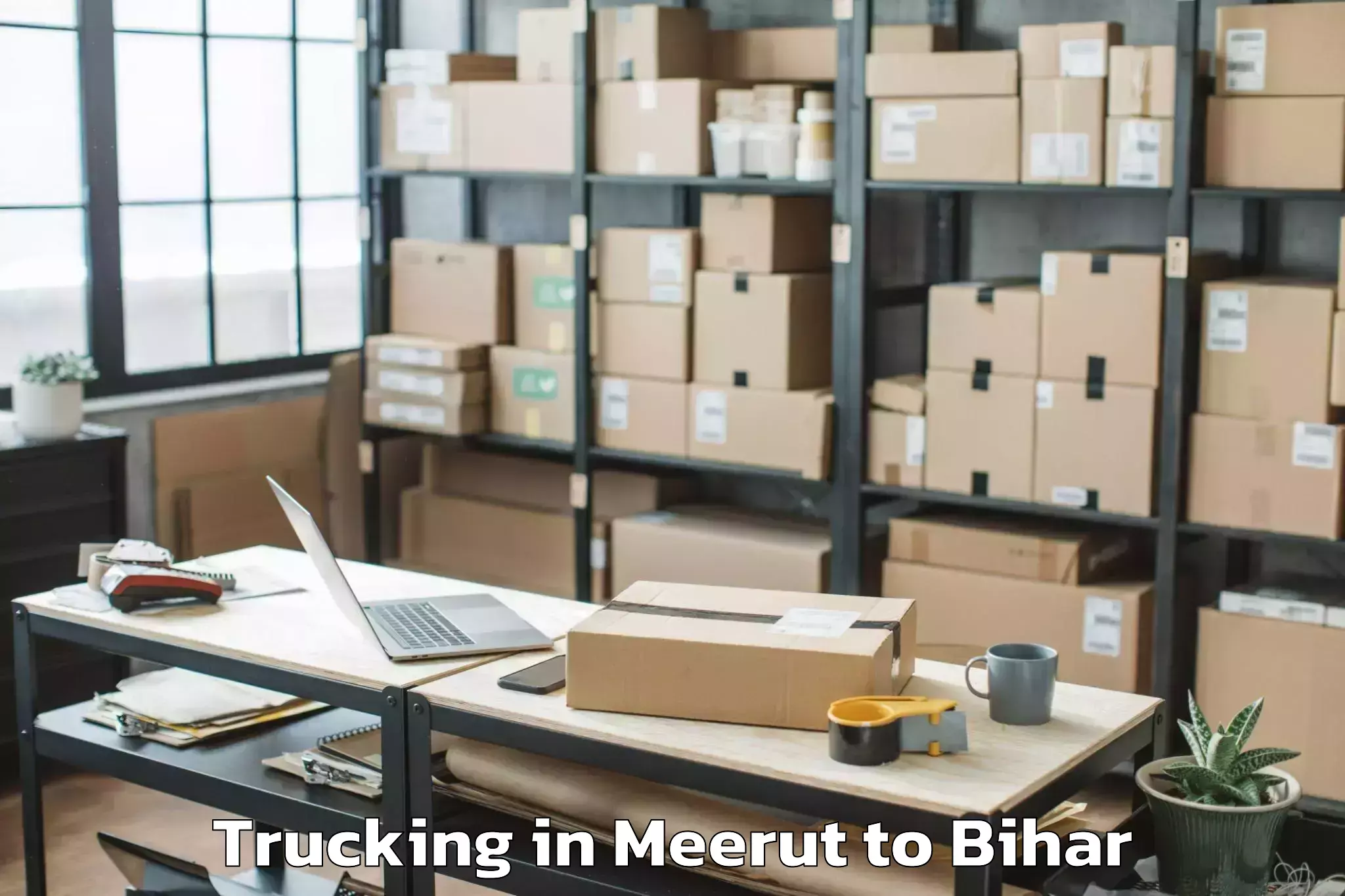 Professional Meerut to Rupauli Trucking